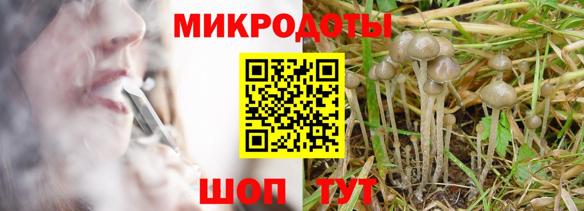 Галлюциногенные грибы GOLDEN TEACHER  Вход с VPN  Будённовск 