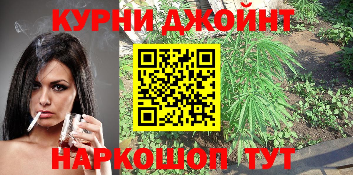 Конопля AK-47 Будённовск